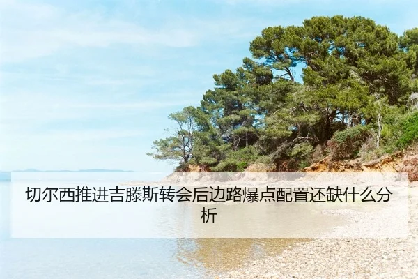 qie-er-xi-tui-jin-ji-teng-si-zhuan-hui-hou-bian-lu-bao-dian-pei-zhi-hai-que-shen-me-fen-xi-2-321.jpg