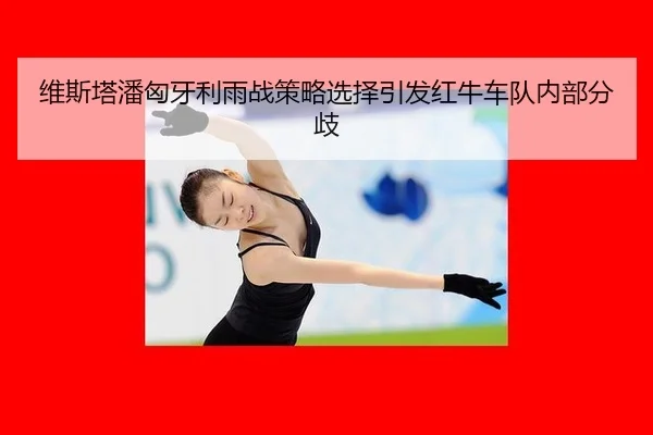 维斯塔潘匈牙利雨战策略选择引发红牛车队内部分歧