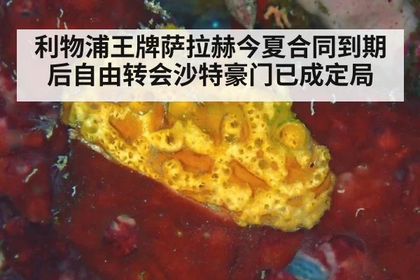 利物浦王牌萨拉赫今夏合同到期后自由转会沙特豪门已成定局